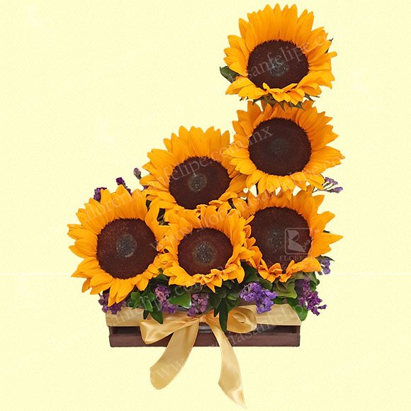 Caja de Madera Con 6 Girasoles